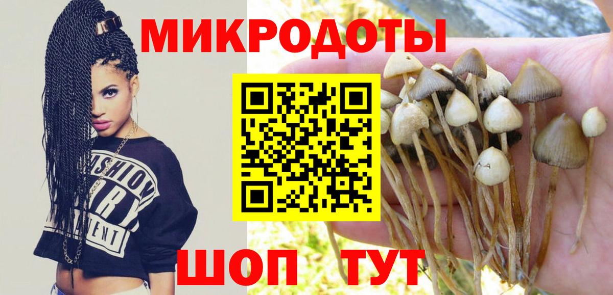 Долгопрудный  Галлюциногенные грибы ЛСД  Вход с VPN 