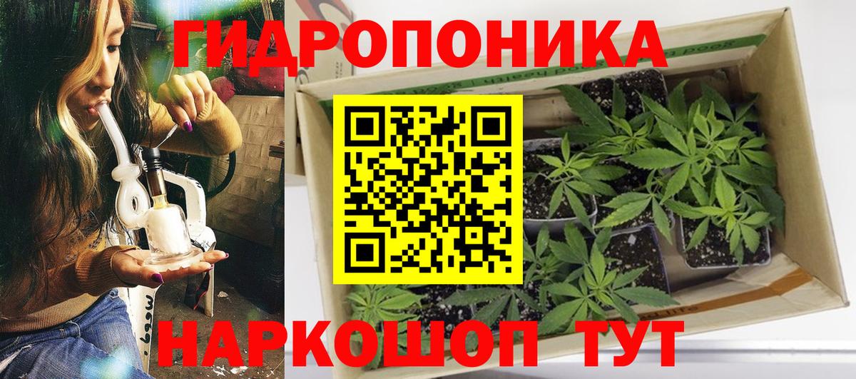 Шишки марихуана White Widow Долгопрудный